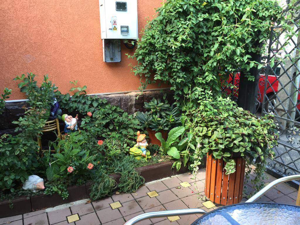 ホテル Casa Belazur デヴァ エクステリア 写真