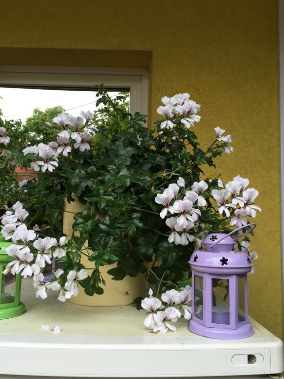 ホテル Casa Belazur デヴァ エクステリア 写真